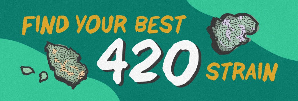 the phrase 'Find your best 420 strain' on a green background with sketches of weed nugs at either end